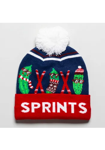 sprints winter hat hats  headwear iced pickles